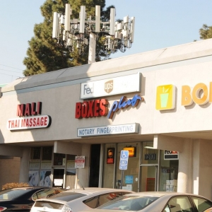 Photo of Boxes Plus