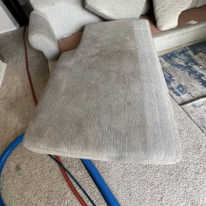 Photo of Mr. Spotless Services