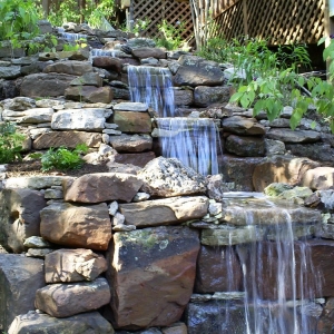 Photo of Austin Landscape and Design