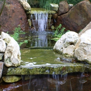 Photo of Austin Landscape and Design