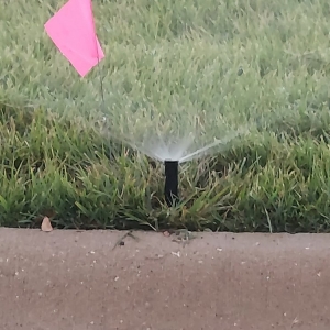Photo of Total Lawn and Sprinkler