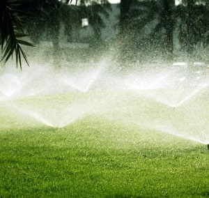 Photo of Total Lawn and Sprinkler