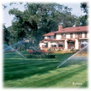 Photo of Total Lawn and Sprinkler