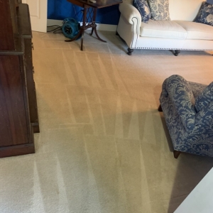 Photo of The Cleaning Guru