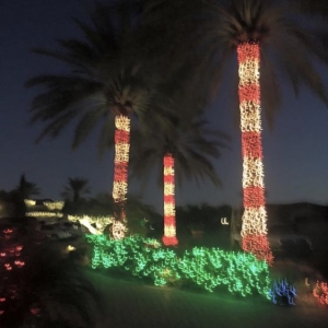 Photo of Az Holiday Lighting