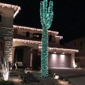 Photo of Az Holiday Lighting