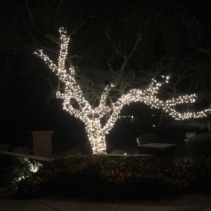 Photo of Az Holiday Lighting