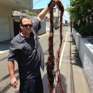 Gardena Courselle Plumbing