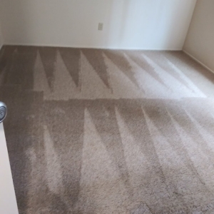 Photo of Thorough House Cleaning & Janitorial Services