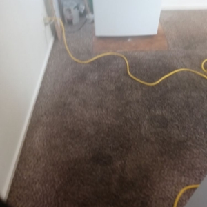 Photo of Thorough House Cleaning & Janitorial Services