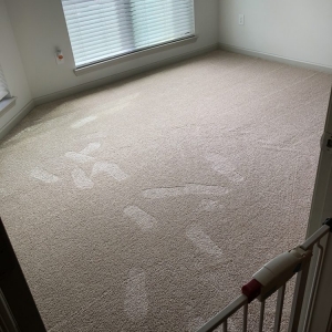 Suwanee WilTek Carpet Cleaning