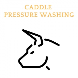 Photo of Caddle Pressure Washing