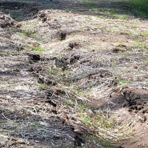 Photo of Adams Foundation Repair