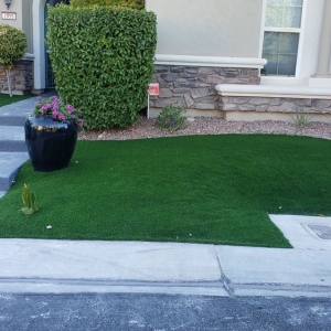 Photo of Perfect Green