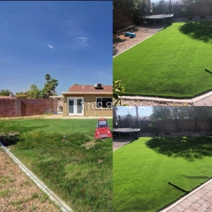 Photo of Perfect Green