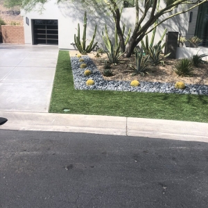 Photo of Perfect Green