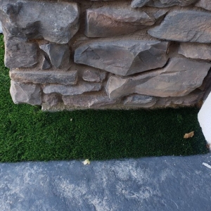 Photo of Perfect Green
