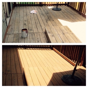 Photo of Holiday Transformations