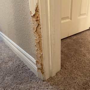 Photo of Trusted Handyman LV