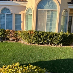 Photo of Bullseye Outdoor Services