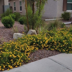 Photo of Bullseye Outdoor Services