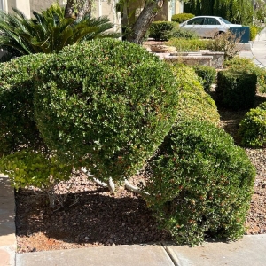 Photo of Bullseye Outdoor Services