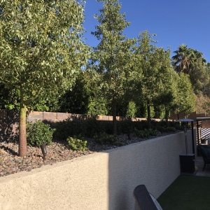 Photo of Bullseye Outdoor Services