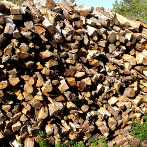 Photo of At Your Request Landscaping and Tree Service