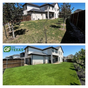 Photo of Green Forever Turf - Texas