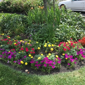 Photo of Walker's Lawn & Landscaping