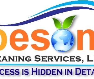 Lenexa Besom Cleaning Services