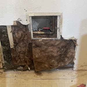 Photo of By Any Means Services