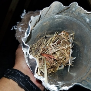 Photo of Summit Environmental Solutions
