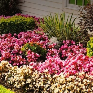 Photo of Mansell Landscape Management