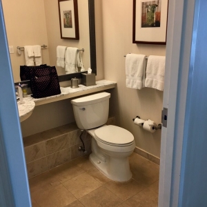 Photo of Marriott Dallas/Fort Worth Westlake