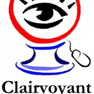 Photo of Clairvoyant Solutions