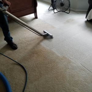 Photo of Cherokee Carpet Care