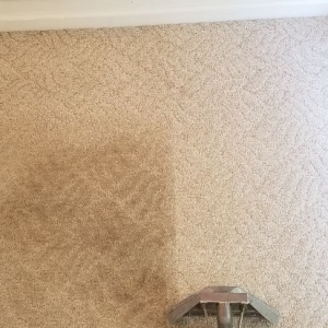 Photo of Cherokee Carpet Care