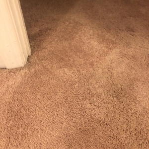 Photo of Cherokee Carpet Care