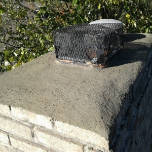 Photo of Indy Chimney
