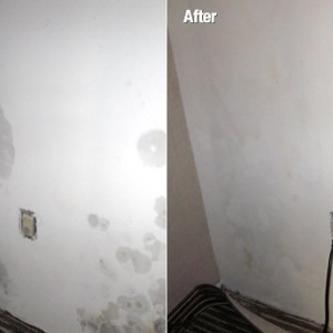 Photo of Advanced Mold Solutions