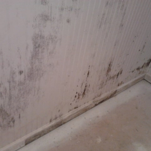 Photo of Advanced Mold Solutions