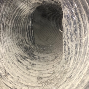 Photo of ENG Air Duct & Carpet Cleaning Services