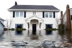 Photo of Water Damage Specialists