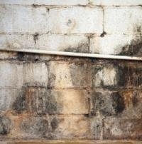 Photo of Water Damage Specialists