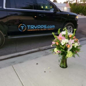 Photo of Trypps