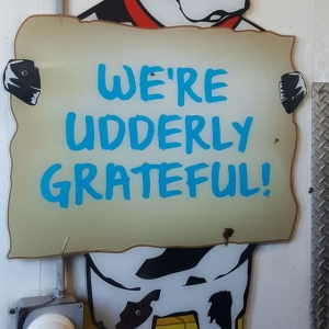 Photo of Moo Moo Express Car Wash - Pickerington