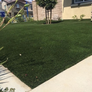 Photo of Purchase Green Artificial Grass