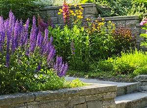 Photo of Js Landscaping and Power Wash