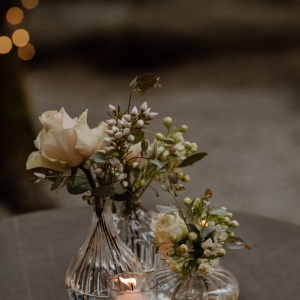 Photo of Taneva Events
